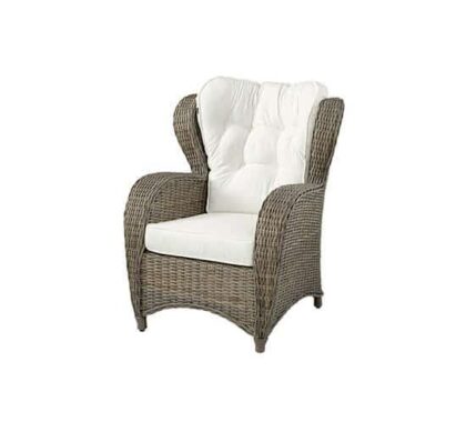 Jacksonville fåtölj rotting