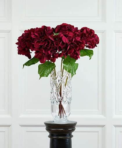 Hortensia snittblomma burgundy