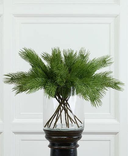 Forrest tallkvist snittblomma grön