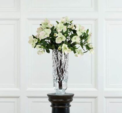 Julros snittblomma vit