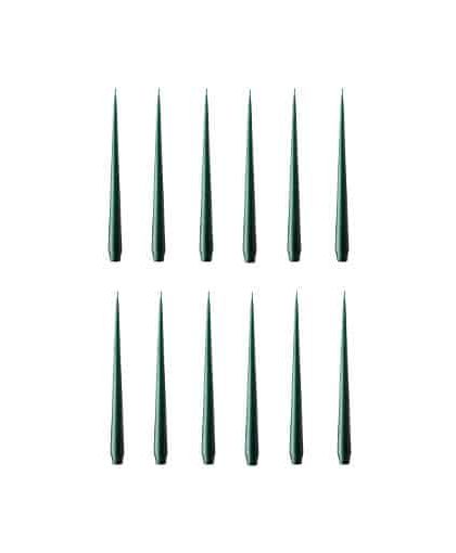 Kronljus noble pine 12-pack