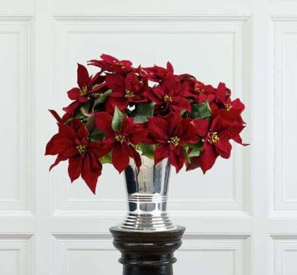 Julstjärna snittblomma burgundy