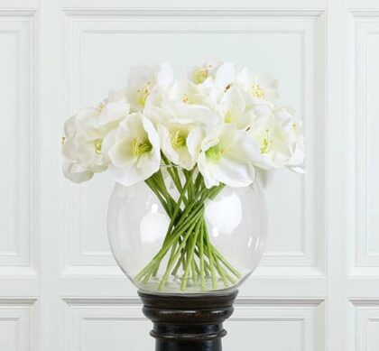 Amaryllis snittblomma vit