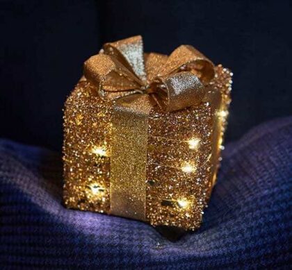 Trevor paket LED juldekoration champagne