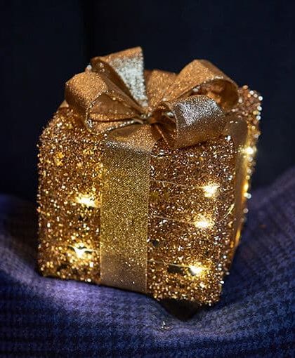 Trevor paket LED juldekoration champagne