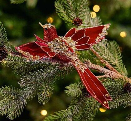 Lancaster kolibri julgransdekoration röd