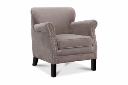 Fåtölj ray ljusgrå sammet - grå