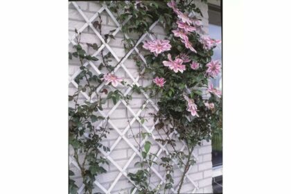 Nature trädgårdsspaljé 100x200 cm pvc vit 6040703 - vit