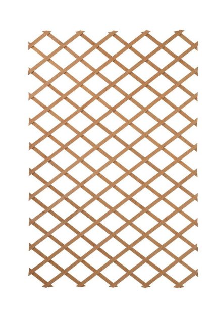 Nature spaljé trädgård 100x200 cm trä 6041703 - brun