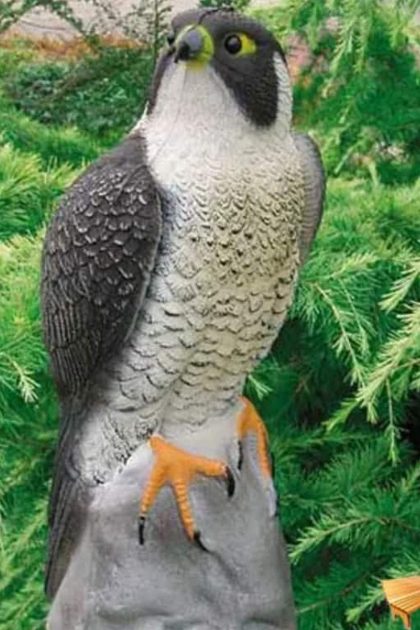 Ubbink djurfigur falcon 40 cm - brun