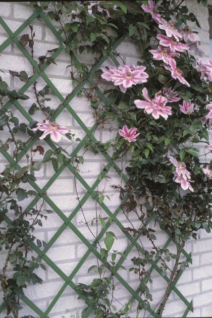 Nature trädgårdsspaljé 50x150 cm pvc grön 6040702 - grön