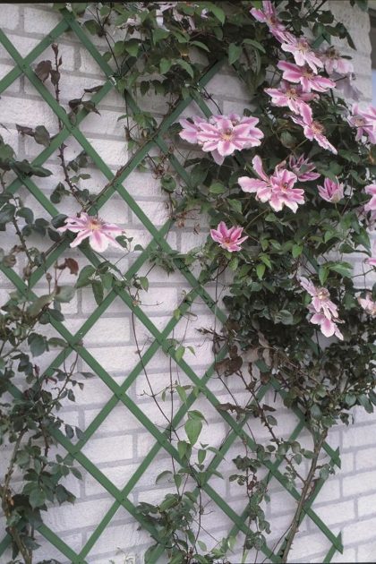 Nature trädgårdsspaljé 100x200 cm pvc grön 6040704 - grön