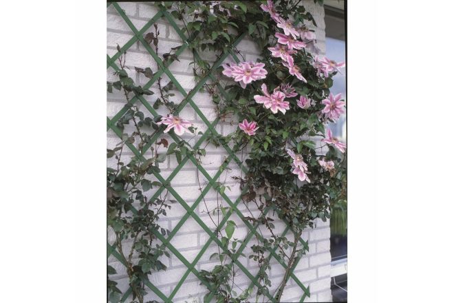 Nature trädgårdsspaljé 100x200 cm pvc grön 6040704 - grön