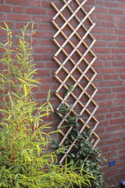 Nature trädgårdsspaljé 100x200 cm bambu 6040722 - brun